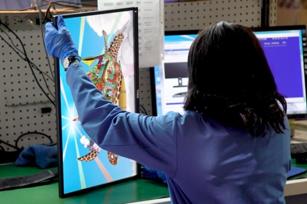 LCD Repair